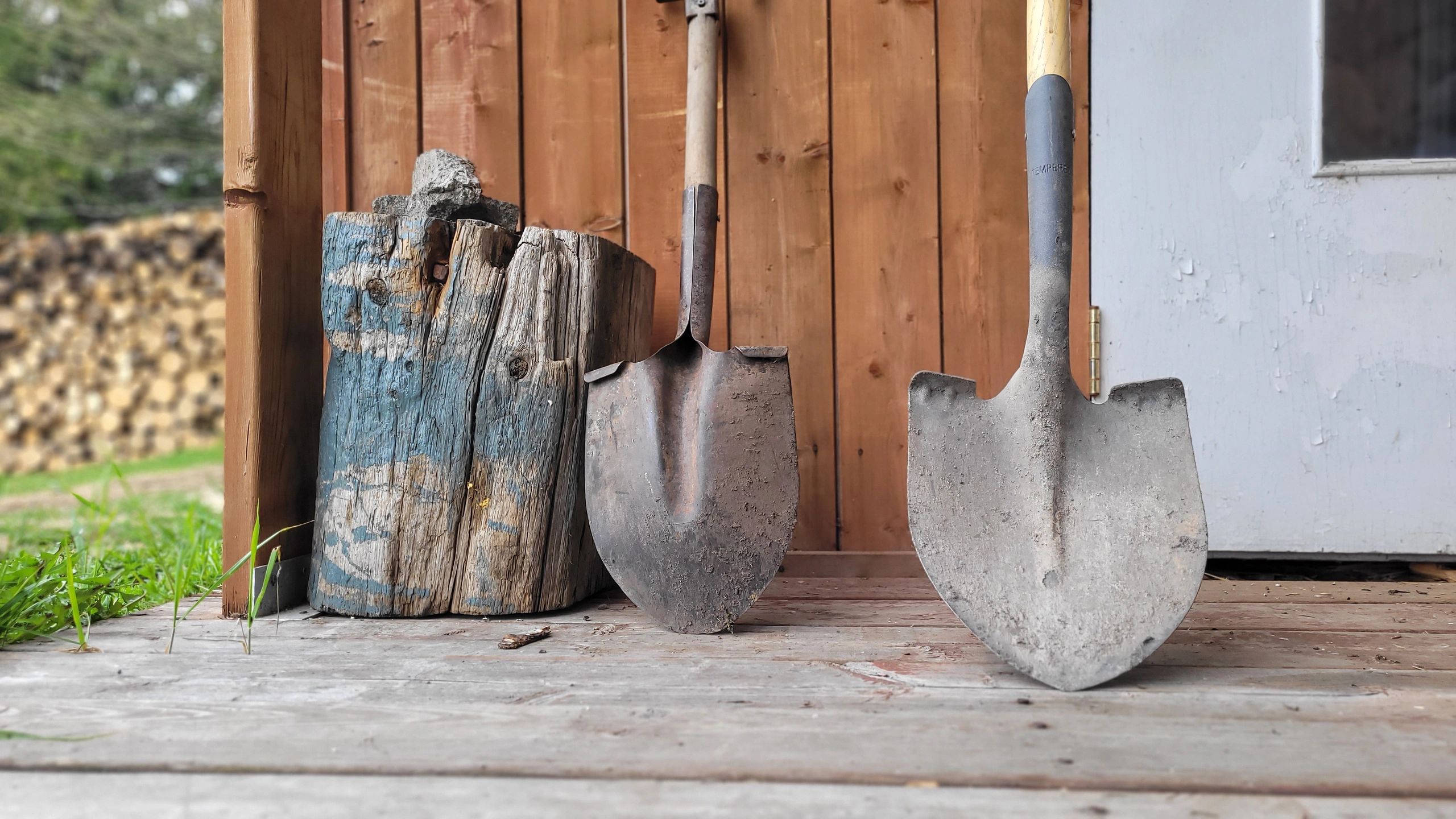 Rustic garden shovels leaning on a shed door beside stacked firewood