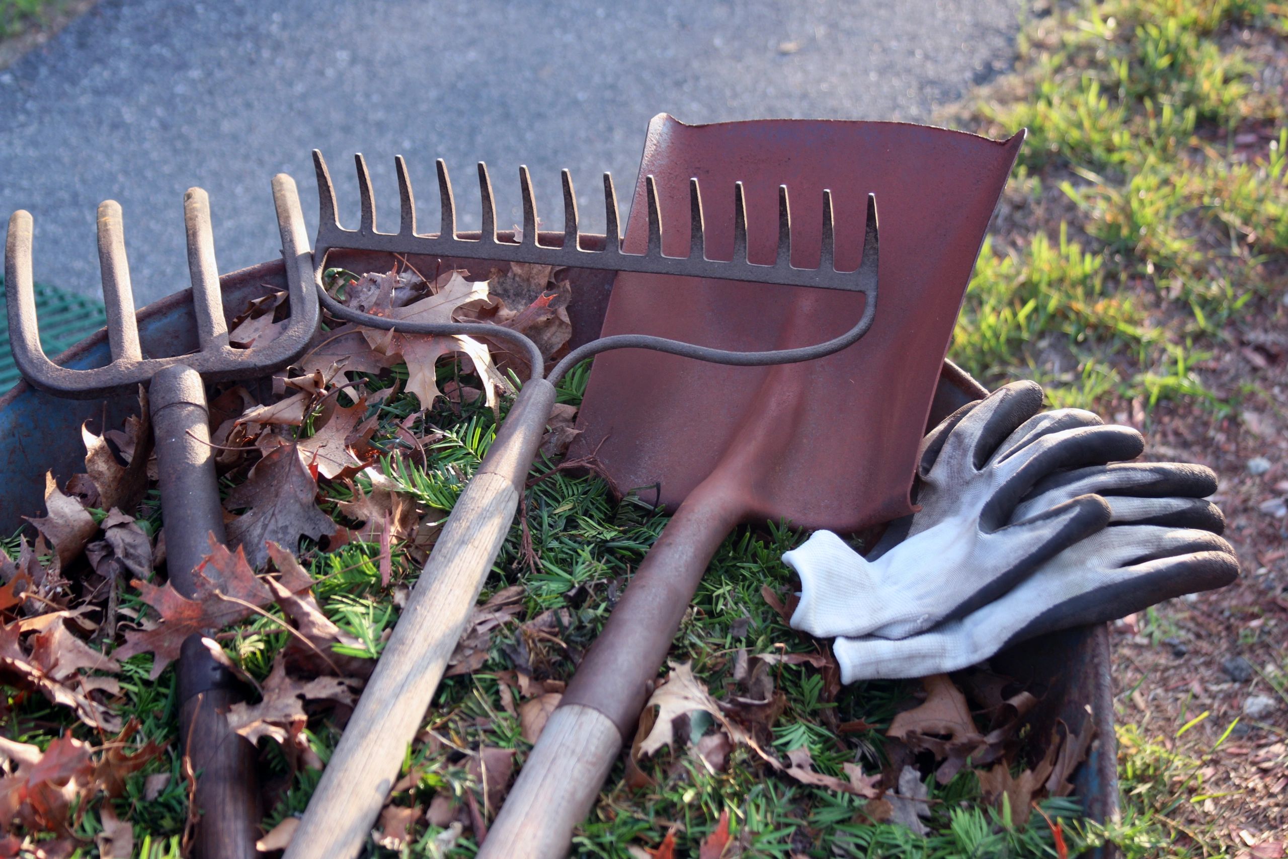 Rustic landscaping tools arranged with copy space